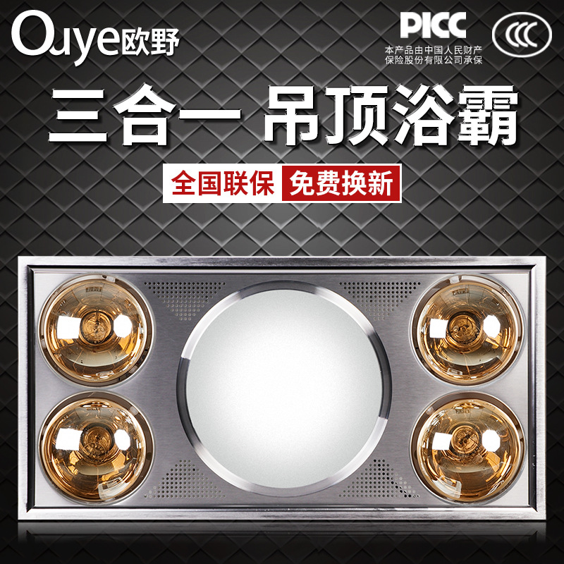 Bath Heater with Exhaust Fan LED Lighting Heating Bath Heater MultiFunction Ventilation Lamp Heating Bath Heater 3060