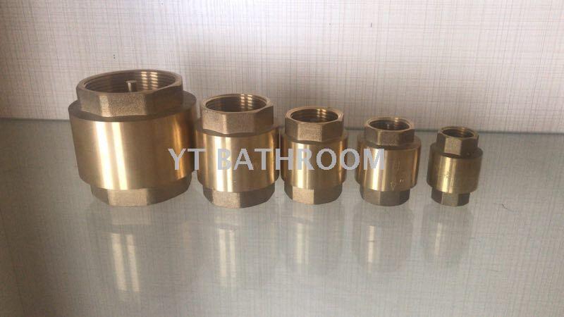 Valve vertical check valve gate valve