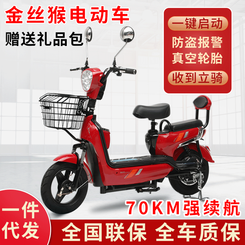 Adult Battery Car Electric Car Two-Wheel Electric Bike Double Women&#039;s Help Leisure Walking Gift Car