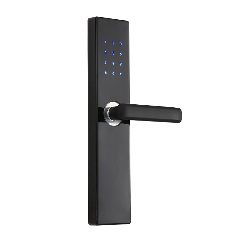 App Remote Management Apartment Smart Door Lock Household Anti-Theft Door Password Lock Hotel Electric Door Lock