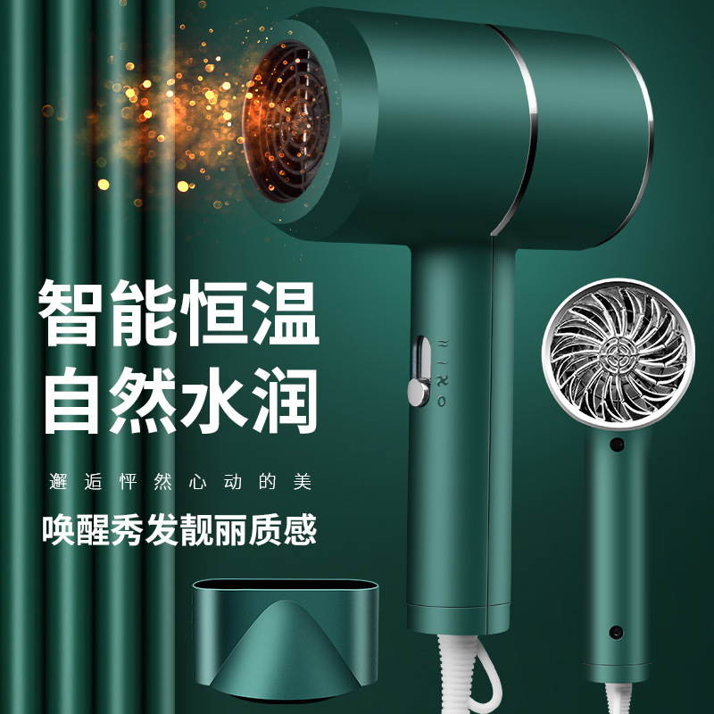 Factory Wholesale Hair Dryer Gift Customization Fashion Douyin Online Influencer Hot Hammer Anion Household Electric Blower