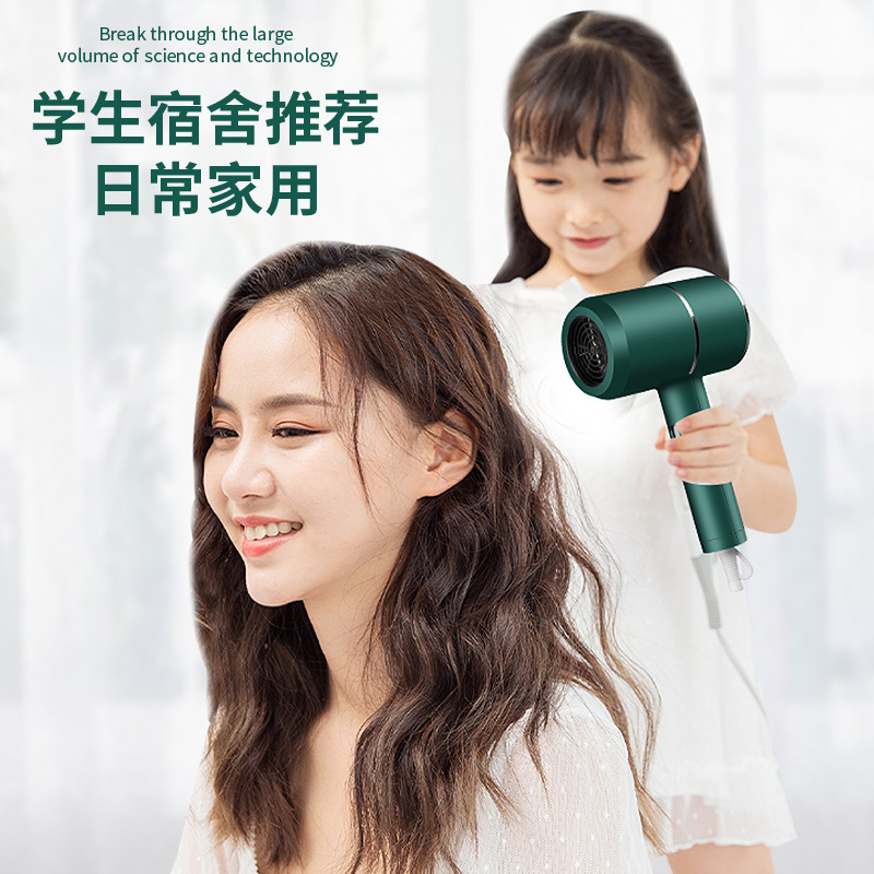 Factory Wholesale Hair Dryer Gift Customization Fashion Douyin Online Influencer Hot Hammer Anion Household Electric Blower
