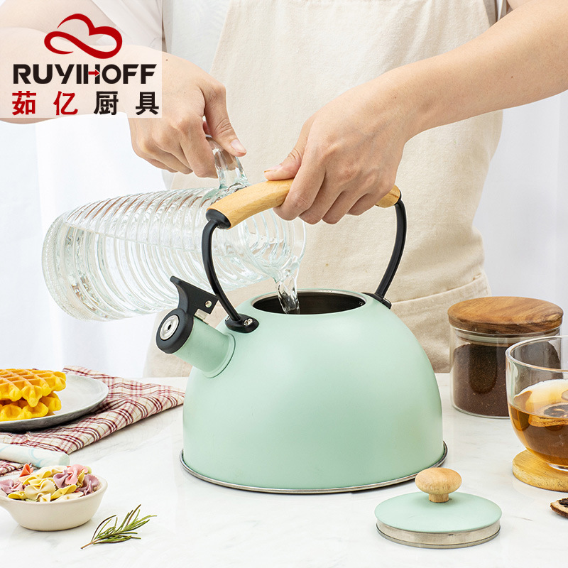 New Spray Color Sound Kettle Amazon Cross-Border Wooden Handle Whistle Water Pot Restaurant Exquisite Kettle