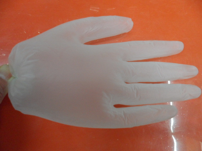 Disposable PVC Gloves Dental Rubber Catering and Beauty Transparent Protective Waterproof Oil-Resistant Labor Protection Gloves Wholesale