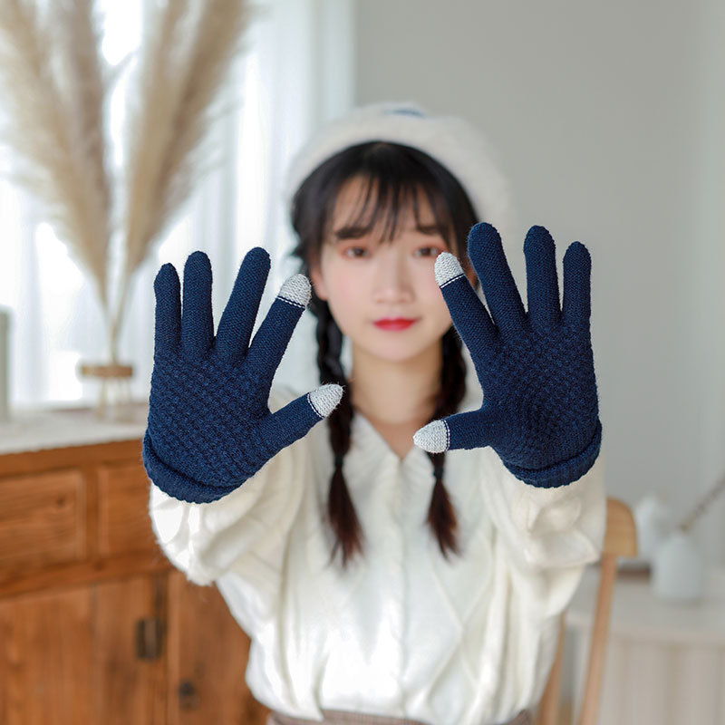 Factory Wholesale New Touch Screen Deer Gloves Women&#039;s Autumn and Winter Thickened Knitting Wool Keep Warm M Grain Gloves