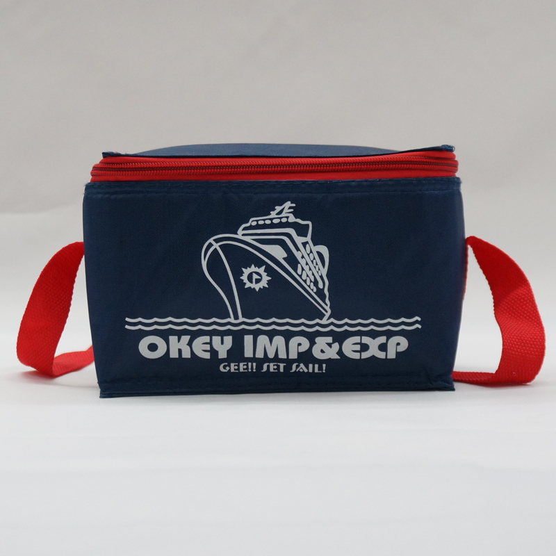 Worldwide selling ice packs insulated bag cooler bags set lunch bag