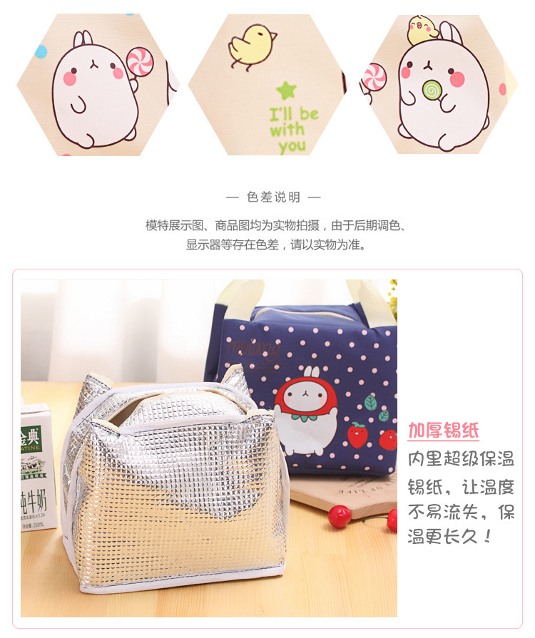 lunch bag ladies thermal bag bento bag rice hand bag thermal bag students carry lunch ice bag lunch bag ladies thermal bag bento bag rice hand bag thermal bag students carry lunch ice bag
