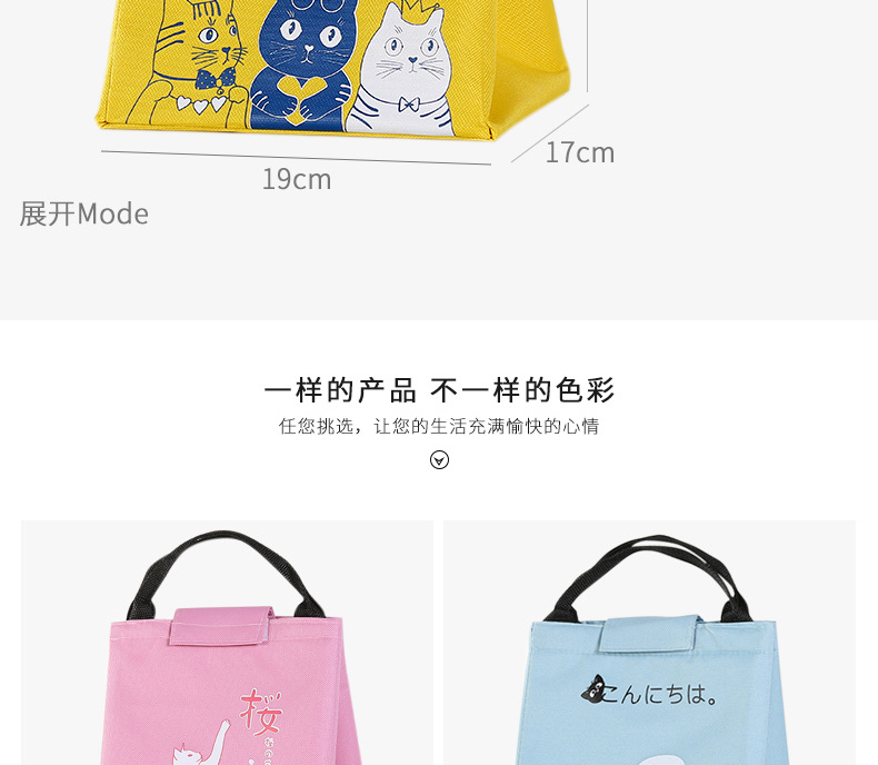 Manufacturer wholesale picnic bag portable lunch bag insulation pack Oxford cloth ice pack Manufacturer wholesale picnic bag portable lunch bag insulation pack Oxford cloth ice pack