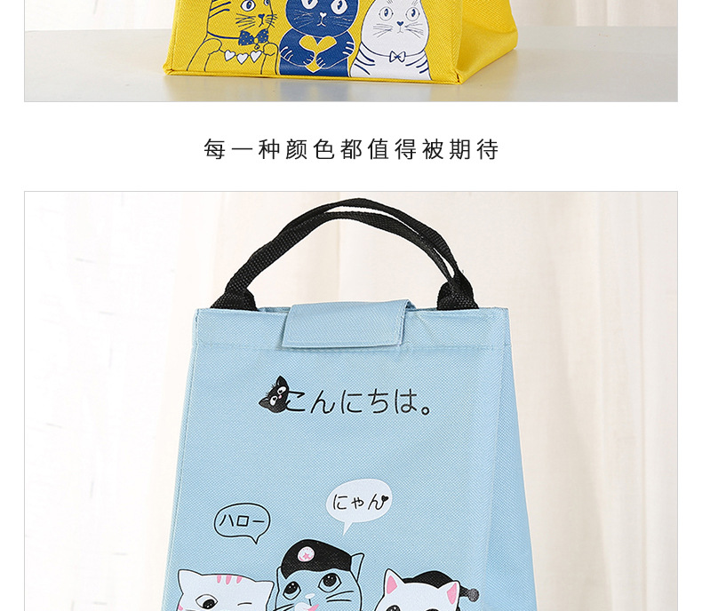 Manufacturer wholesale picnic bag portable lunch bag insulation pack Oxford cloth ice pack Manufacturer wholesale picnic bag portable lunch bag insulation pack Oxford cloth ice pack