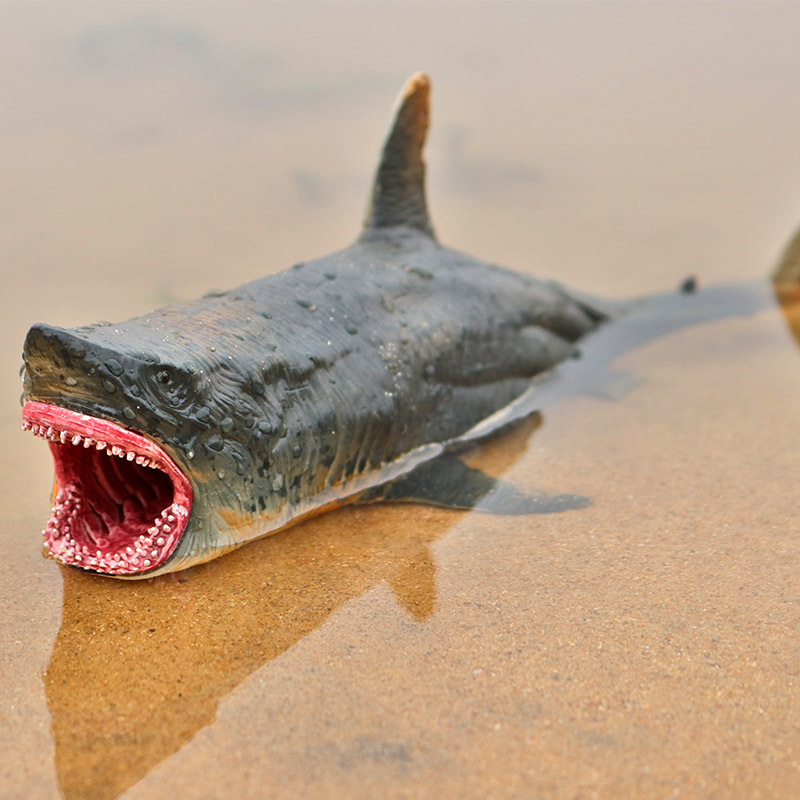 Simulation Model of Marine animals Giant aquarium man-eating shark SHARK Jaws Tiger Children Toy Furnishing articles