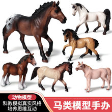 Simulation Model of Marine animals Giant aquarium man-eating shark SHARK Jaws Tiger Children Toy Furnishing articles Simulation Model of Marine animals Giant aquarium man-eating shark SHARK Jaws Tiger Children Toy Furnishing articles
