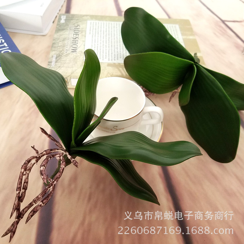Simulation Plant Flower Arrangement Accessories Piece Phalaenopsis Leaf Clivia Emulational Decoration Craft Wedding Ceremony Layout