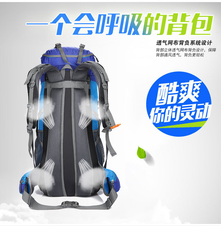 Hu Wai Jian Feng New Professional Mountaineering Bag Outdoor Camping Backpack Large Capacity Casual Fashion Men's and Women's Backpack Hu Wai Jian Feng New Professional Mountaineering Bag Outdoor Camping Backpack Large Capacity Casual Fashion Men's and Women's Backpack