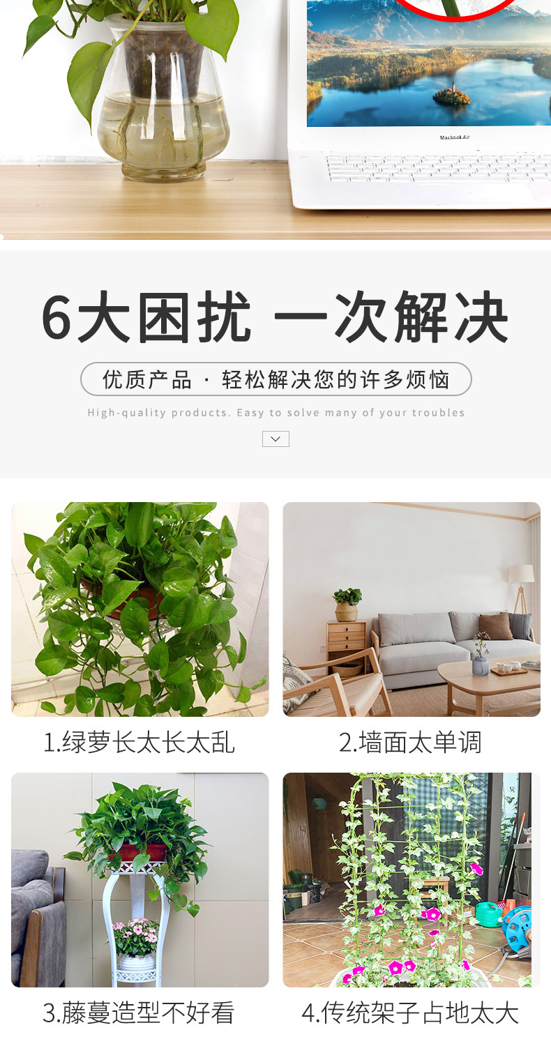 Green plant Fixator Vine Climbing wall Fixator Stickup Seamless Hook Green plant Fixator Vine Climbing wall Fixator Stickup Seamless Hook