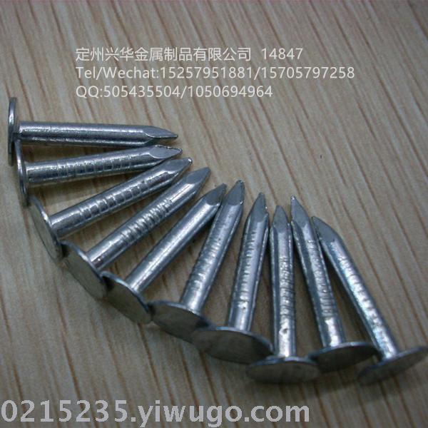 Linoleum nail head nail flat cap nail iron nail, Large head nail