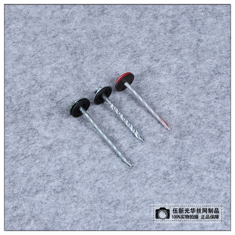 Factory Direct Sales Big Head Nail Roofing Nail with Cap Nail