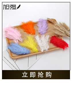 Manufacturer 13-15 cm bird hair silk plus cloth edge ostrich hair silk lace ostrich hair plus ribbon 2-139 Manufacturer 13-15 cm bird hair silk plus cloth edge ostrich hair silk lace ostrich hair plus ribbon 2-139