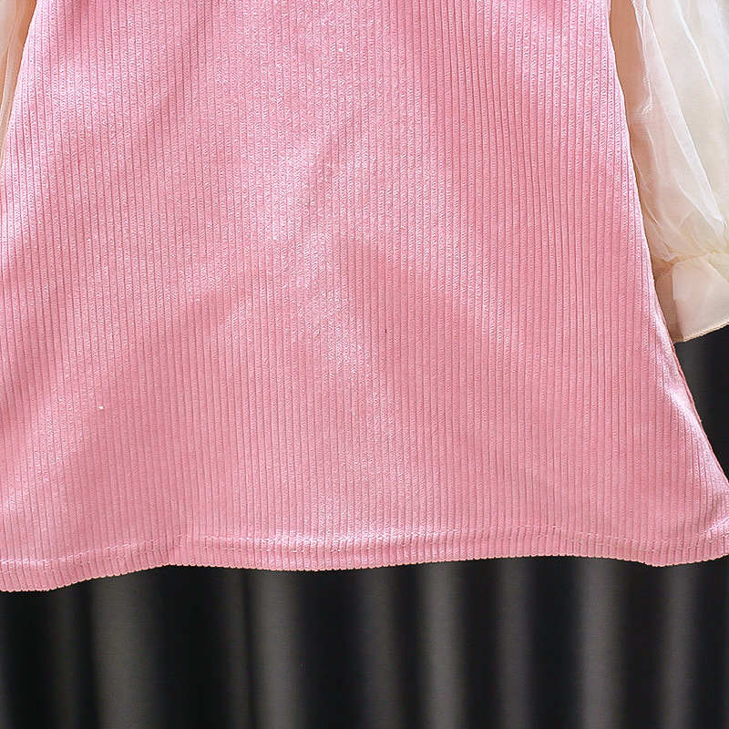 Kids' Skirt Autumn Princess Dress Girls Autumn Clothing Dress Western Style Fake 2 Pieces 3-Year-Old Baby Spring and Autumn Children's Clothing 5 Kids' Skirt Autumn Princess Dress Girls Autumn Clothing Dress Western Style Fake 2 Pieces 3-Year-Old Baby Spring and Autumn Children's Clothing 5