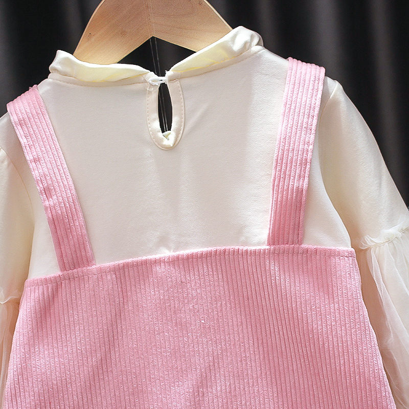 Kids' Skirt Autumn Princess Dress Girls Autumn Clothing Dress Western Style Fake 2 Pieces 3-Year-Old Baby Spring and Autumn Children's Clothing 5 Kids' Skirt Autumn Princess Dress Girls Autumn Clothing Dress Western Style Fake 2 Pieces 3-Year-Old Baby Spring and Autumn Children's Clothing 5