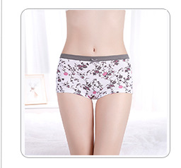 Yunmengni South America Chile Women's T-Back AliExpress Cotton Women's Underwear Amazon Dunhuang Supply
