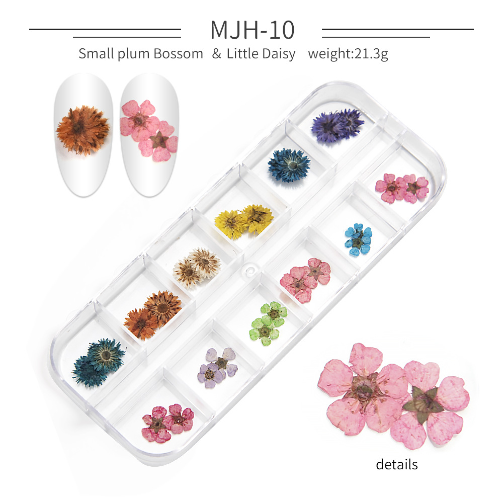 Cross-Border Hot Nail Ornament Wholesale 12 Colors Starry Sky Little Daisy Lace Preserved Fresh Flower Real Flower Nail Beauty Dried Flowers Cross-Border Hot Nail Ornament Wholesale 12 Colors Starry Sky Little Daisy Lace Preserved Fresh Flower Real Flower Nail Beauty Dried Flowers