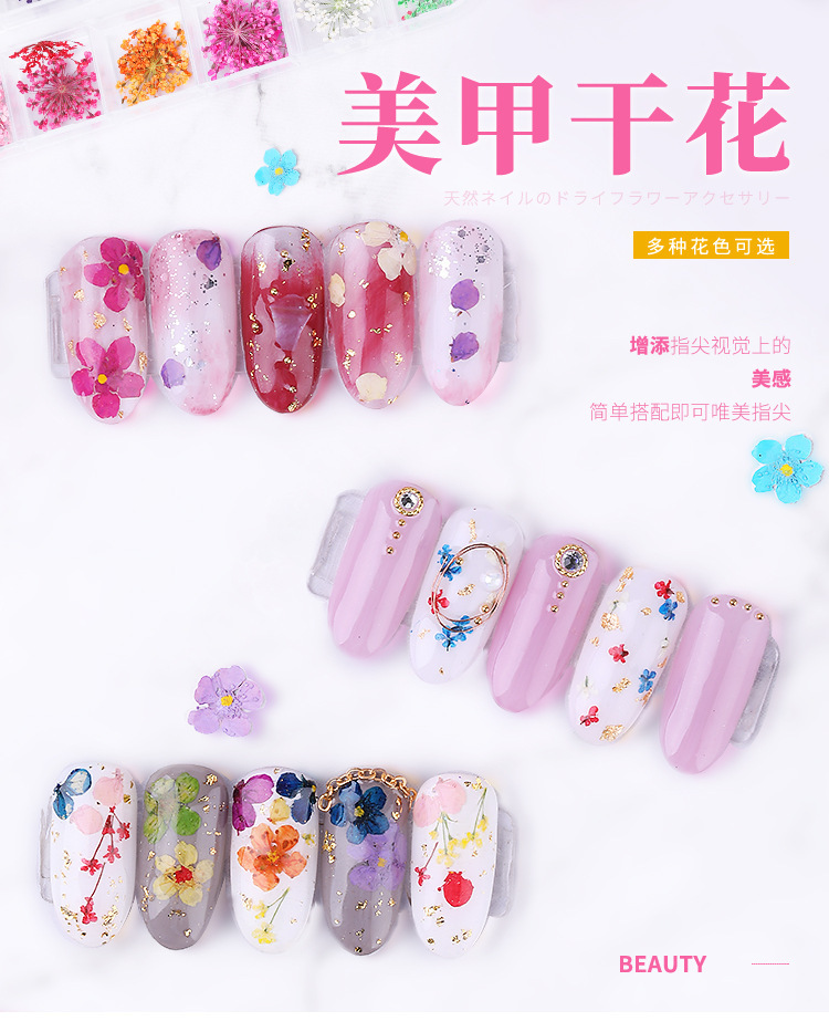 Flower Japanese Nail Yongsheng 3D Stereo Lace Flower Purple Flower Daisy Daffodils Set CrossBorder Hot Selling Models Flower Japanese Nail Yongsheng 3D Stereo Lace Flower Purple Flower Daisy Daffodils Set CrossBorder Hot Selling Models