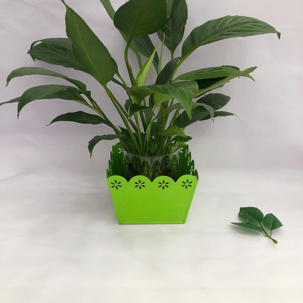 Factory Supply Candy Color Lace Square Iron Bucket Desktop Plant Flower Pot Vase Domestic Ornaments Factory Supply Candy Color Lace Square Iron Bucket Desktop Plant Flower Pot Vase Domestic Ornaments
