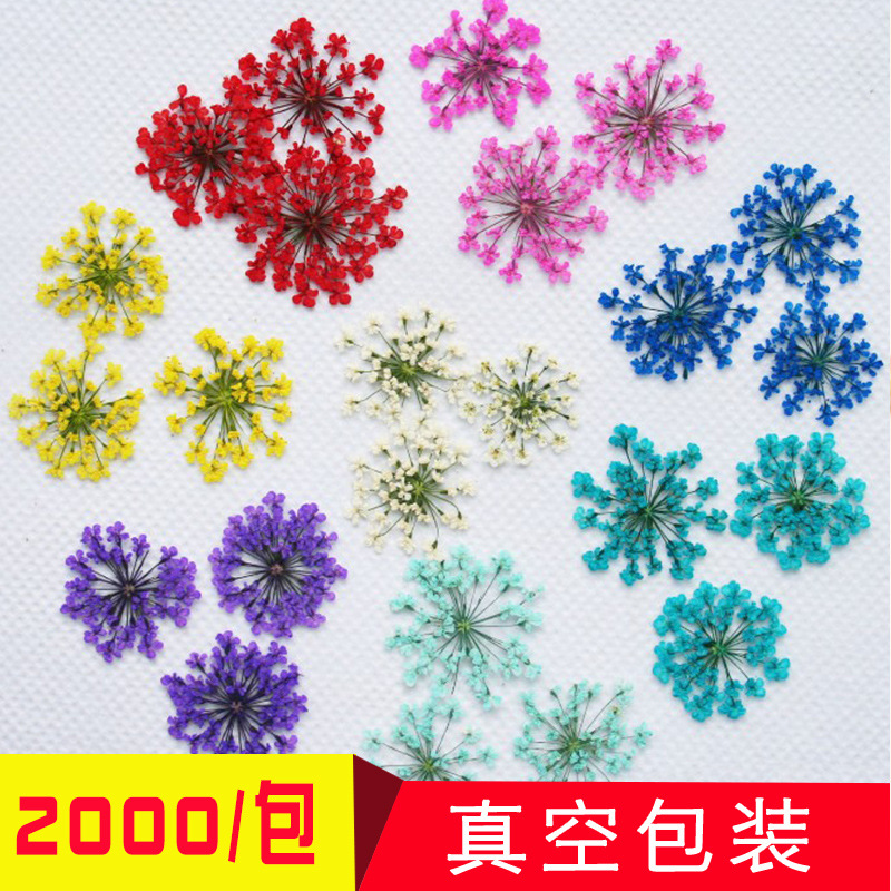 Lace Flower Embossed Dried Flower Epoxy Manicure Fittings Snow Flower Beads 1-2cm 2000 Flowers/Bag