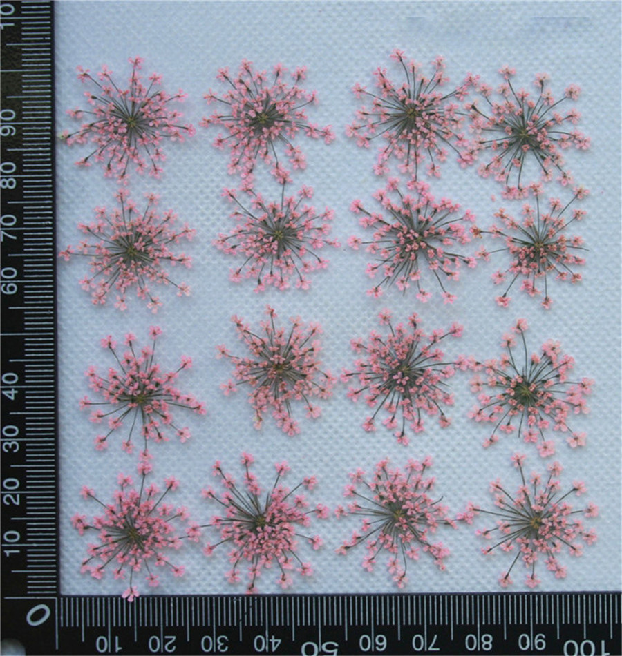Lace Flower Embossed Dried Flower Epoxy Manicure Fittings Snow Flower Beads 1-2cm 2000 Flowers/Bag Lace Flower Embossed Dried Flower Epoxy Manicure Fittings Snow Flower Beads 1-2cm 2000 Flowers/Bag