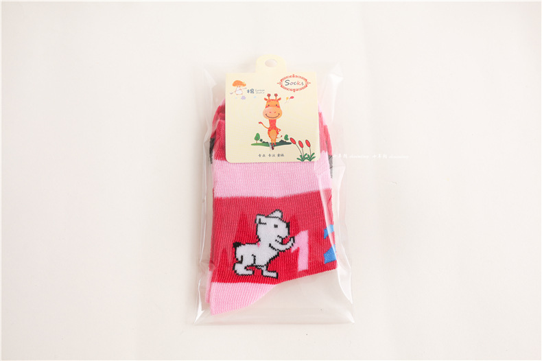 Independent Packaging Kid's Socks Autumn and Winter Gifts Children's Paradise Cartoon Boy Socks Girls Baby Socks Wholesale