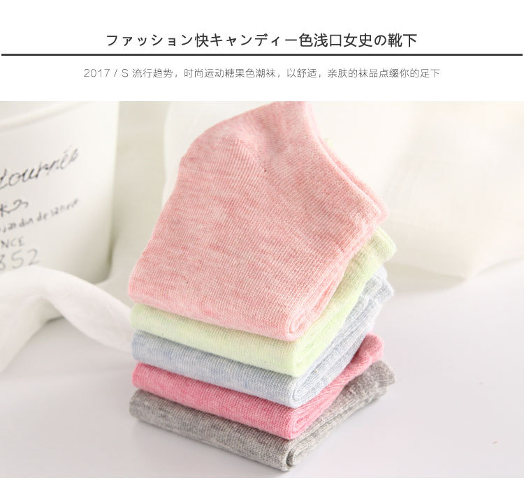 Pure Color Cotton Women's Boat Socks Candy Color Women's Socks Macaron Color Stall Plus-sized Combed Cotton Gift Socks