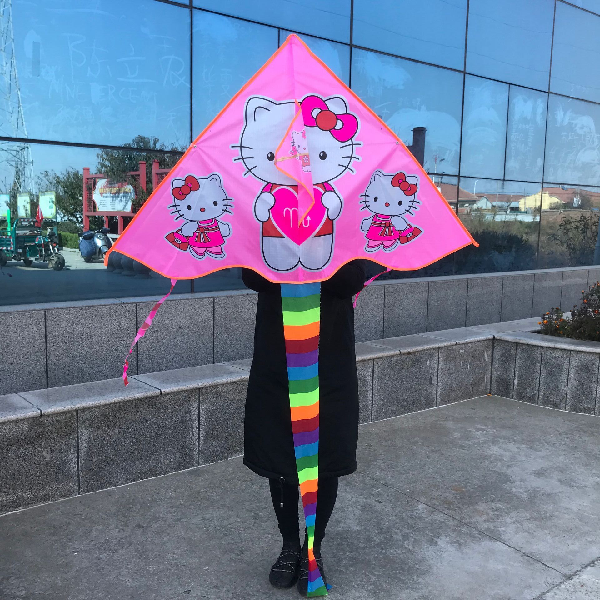 Wholesale Weifang Kite New Bright Cloth Hot Printed Curved Triangle Kite Children's Cartoon Kite Manufacturers Supply Wholesale Weifang Kite New Bright Cloth Hot Printed Curved Triangle Kite Children's Cartoon Kite Manufacturers Supply