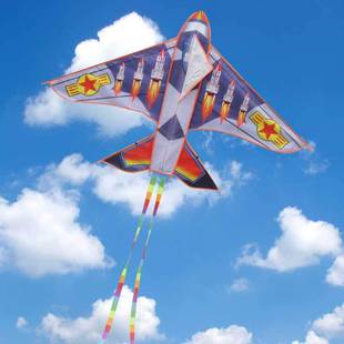 Weifang Kite Wholesale 1.2 M 1.55 M Bright Cloth Heat Printing Children Cartoon Eagle Kite Orchard Bird Repellent Kite Weifang Kite Wholesale 1.2 M 1.55 M Bright Cloth Heat Printing Children Cartoon Eagle Kite Orchard Bird Repellent Kite