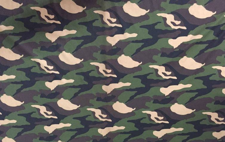 Spot popular printing warp knitted fabric all polyester warp knitted light flat fabric can be hot silver/gold processing