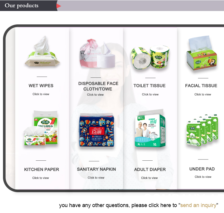 Pet Grooming Wipes Biodegradable Pet Cleaning Moist Tooth Eye Ear Wet Pet Wipes