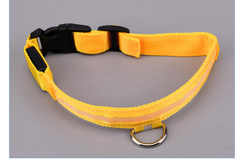 USB Shiny Dog Collar Luminous Charging Dog Traction Rope Luminous Pet Rope Pet Products Led Dog Harness Wholesale USB Shiny Dog Collar Luminous Charging Dog Traction Rope Luminous Pet Rope Pet Products Led Dog Harness Wholesale