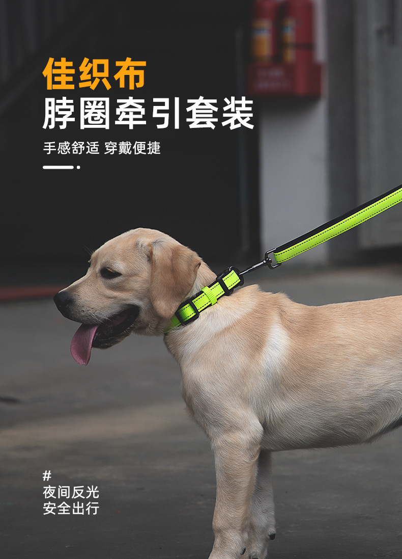 Factory Direct Sales Hot Sale Luminous Reflective Hand Holding Rope Nylon Bandana Double D Buckle Adjustable Dog Collar Pet Rope Wholesale Factory Direct Sales Hot Sale Luminous Reflective Hand Holding Rope Nylon Bandana Double D Buckle Adjustable Dog Collar Pet Rope Wholesale