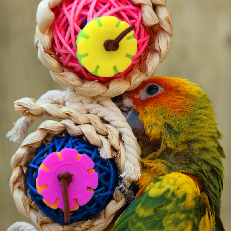 Parrot Supplies Pet Bird Toy Bite Toy Vine Bal Twist String Parrot Supplies Pet Bird Toy Bite Toy Vine Bal Twist String