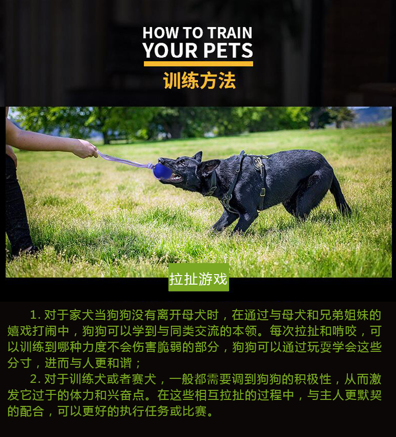 New Bite-Resistant Tooth Protection Pet Toy Floating Training Tension Ball Dog Supplies Eva Throwing Pet Ball