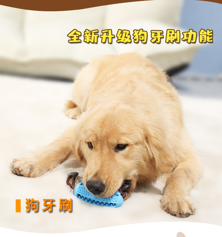 Amazon 's new TPR dog tooth cleaning toothbrush decompresses the elastic rubber grinding ball, which can resist the bite and leak