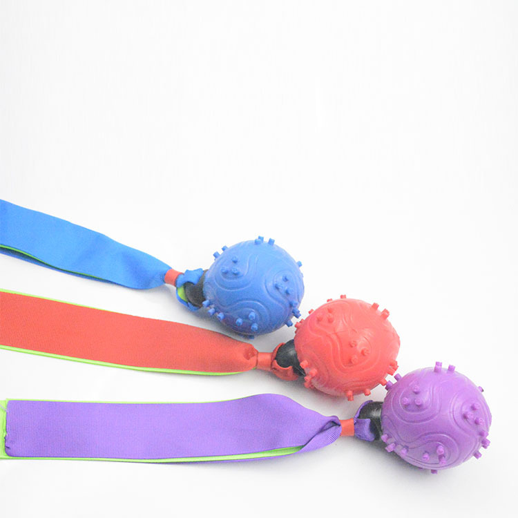 Pet Toy Molar Tooth Cleaning Ball TPR Ribbon Dog Sound Toy Environmental Protection Dog Training Bite-Resistant Ball Factory Price Direct Sales