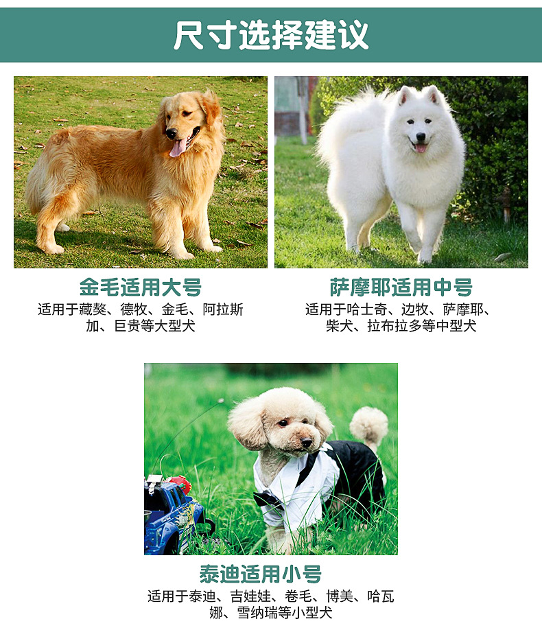 Amazon Hot Pet Toy Molar TPR Watermelon Ball Dog Toy Tooth Cleaning Food Dropping Ball Bite Ball Wholesale