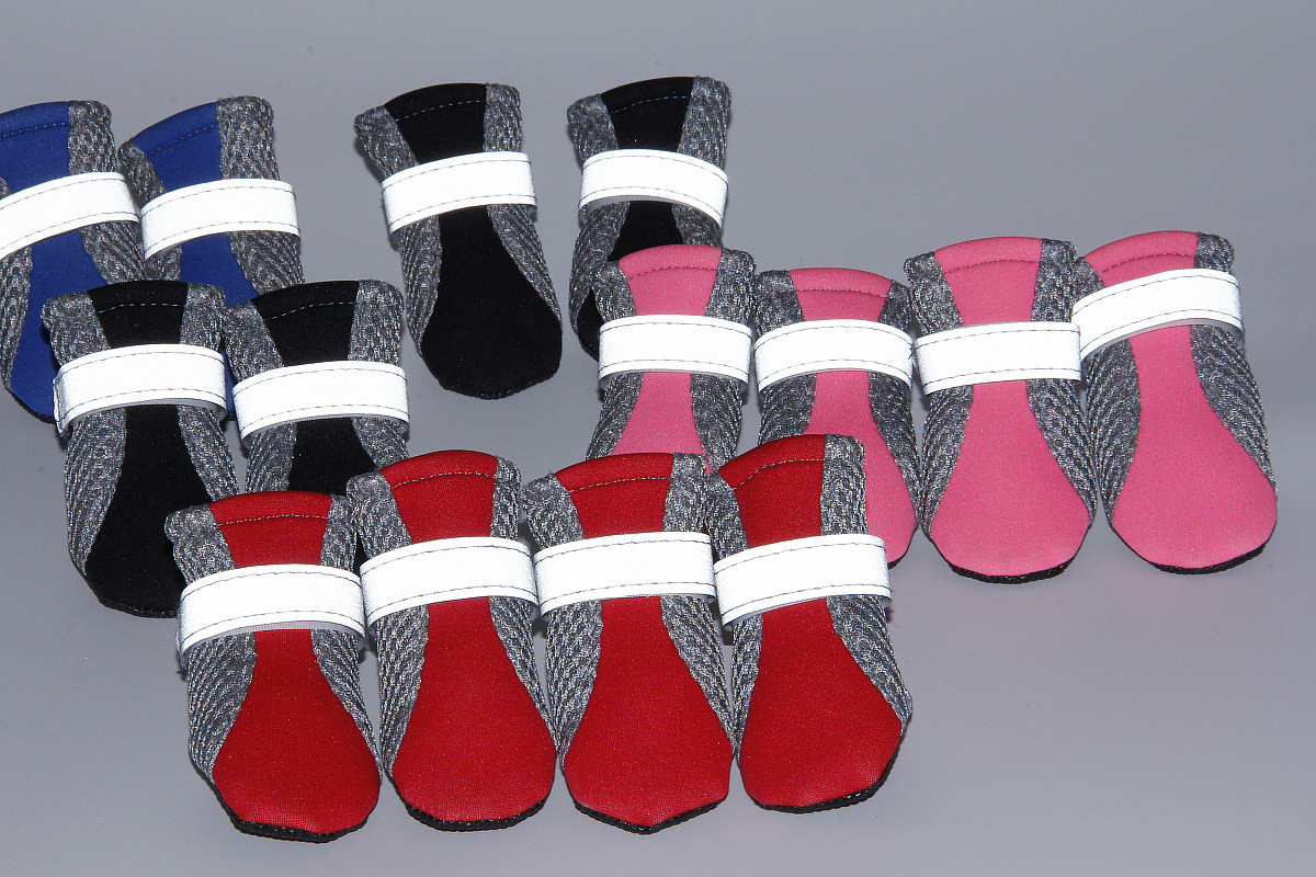 Dog Dog Shoes Pet Shoes Teddy Puppy Dog Shoes Dog Shoes Dog Shoes Soft Bottom Walking Running Dog Shoes Wholesale Factory Direct Supply Dog Dog Shoes Pet Shoes Teddy Puppy Dog Shoes Dog Shoes Dog Shoes Soft Bottom Walking Running Dog Shoes Wholesale Factory Direct Supply