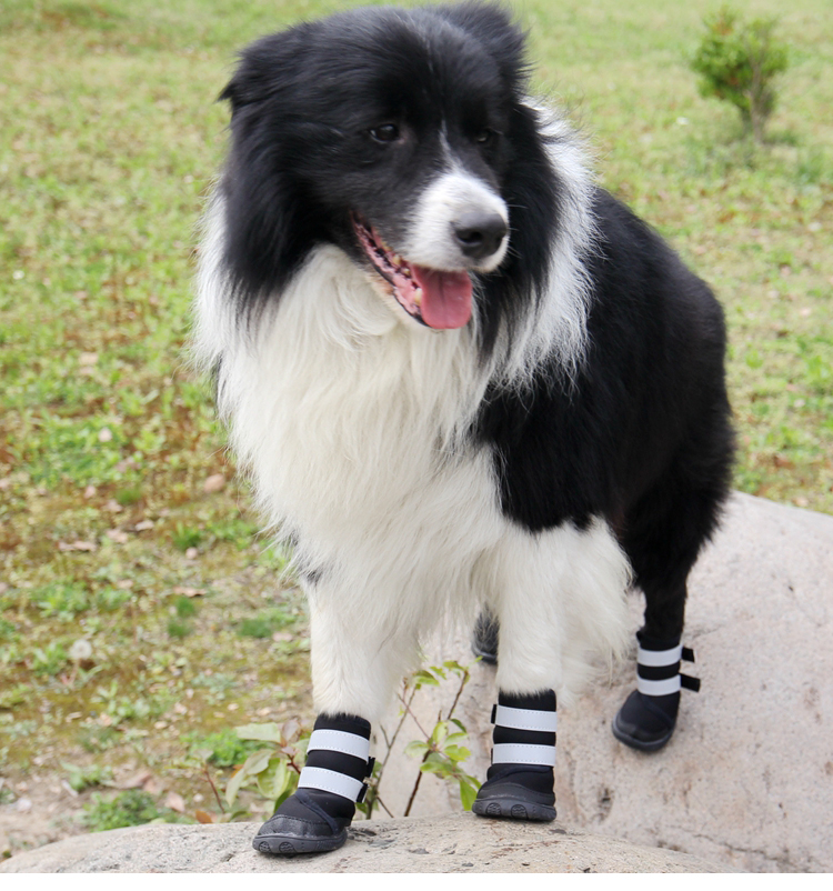 Lanboer blue wave pet shoes reflective pair of dog shoes with dog shoes. Lanboer blue wave pet shoes reflective pair of dog shoes with dog shoes.