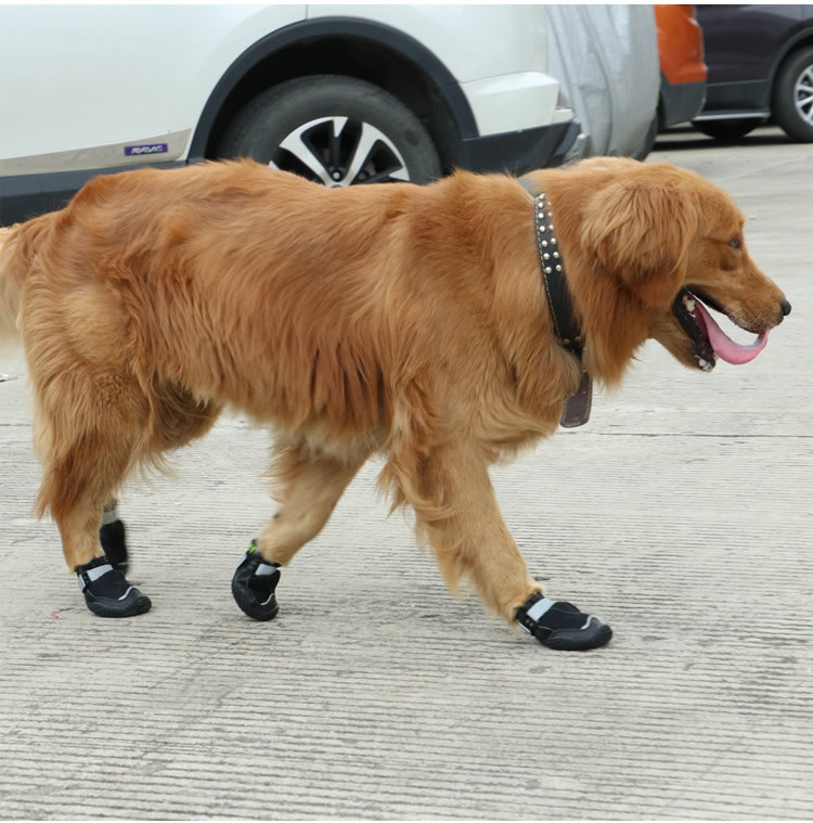 2019 new pet shoes wearables and breathable big dog shoes sold by amazon in Europe and America