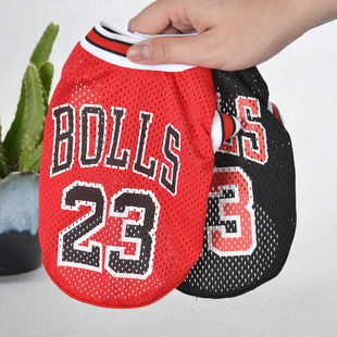 Customized New Cartoon Pet Clothes Fleece-Lined Two-Leg Sweater Autumn and Winter Pullover Pet Dog Clothes Cat Clothes