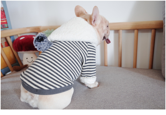 New Pet Clothes Dog Fall and Winter Clothes Pure Cotton Knitted Fleece Hooded Sweater French Bulldog Clothes Chenarui
