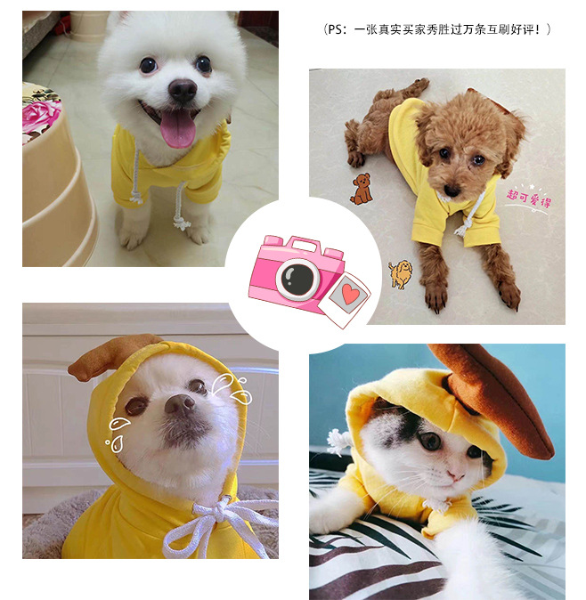 Fruit Dog Cat Small Medium and Large Dogs Autumn Winter Sweater Fleece Clothing Supplies Pet TeddyFrench Bulldog