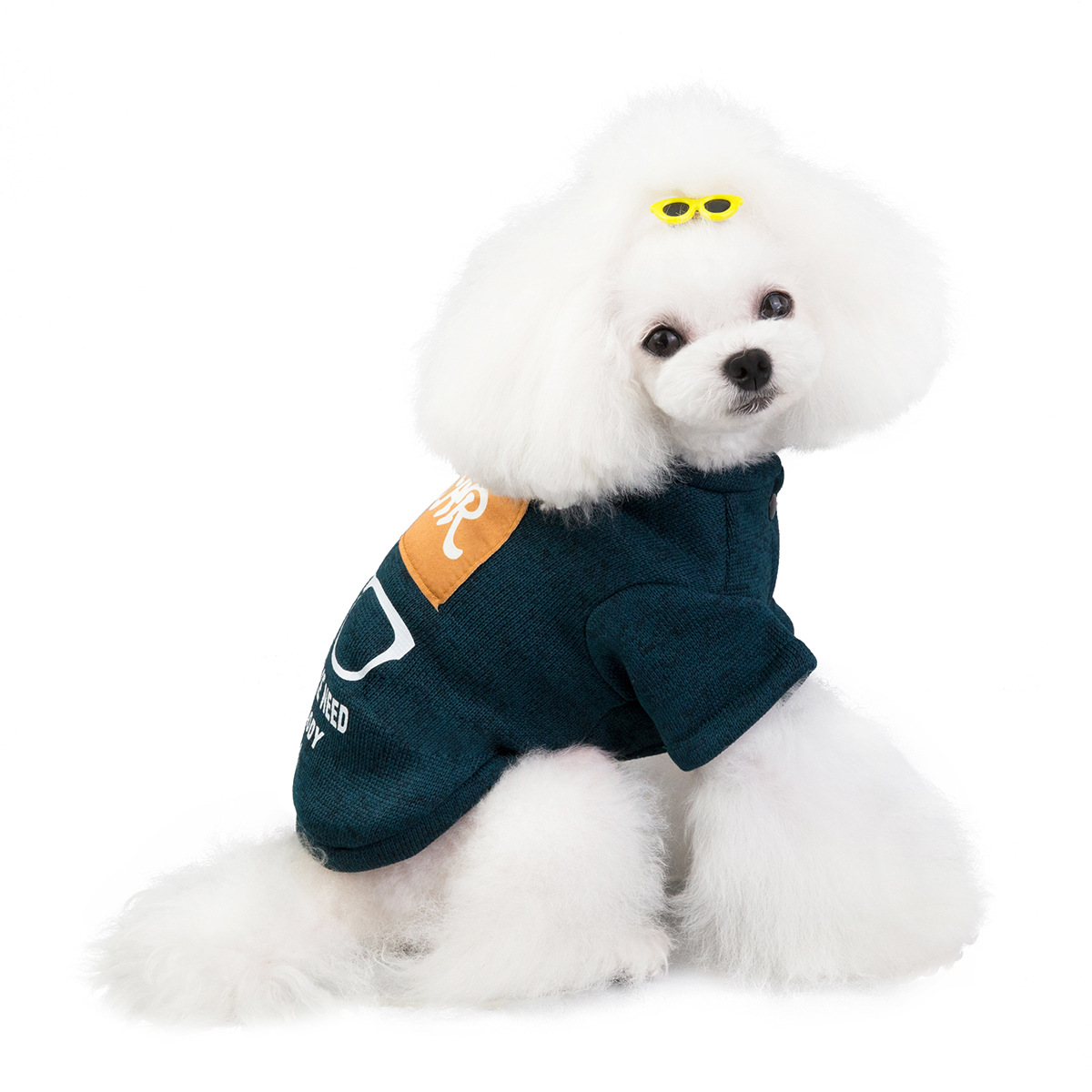 Pet Kitty Dog Clothes Clothing Supplies Teddy Autumn and Winter New Products in Stock Wholesale 19 Hat with Glasses Sweater