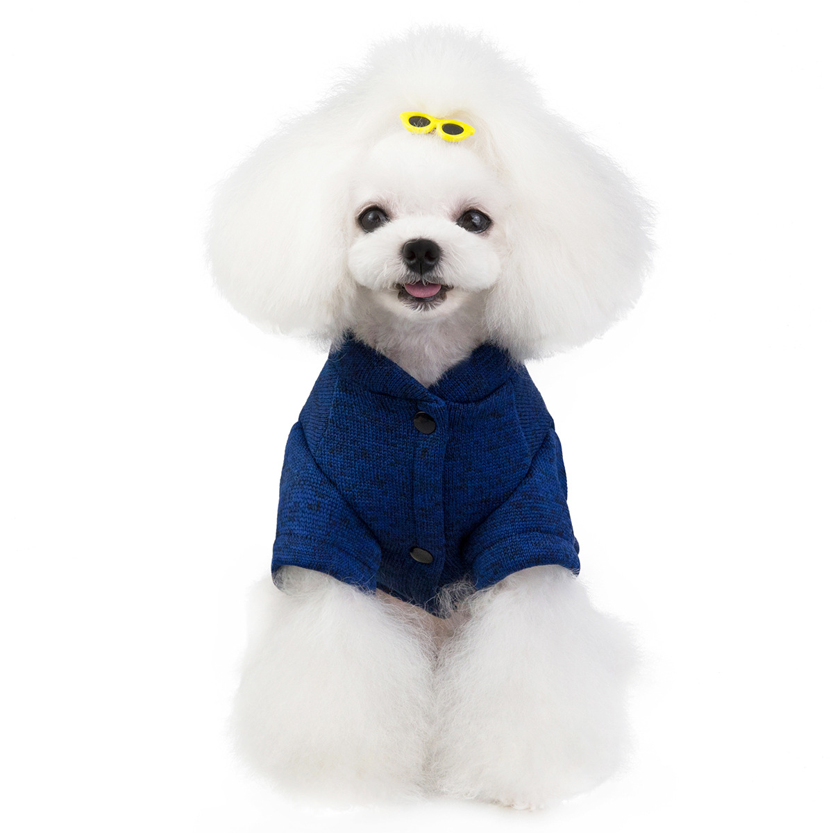Pet Kitty Dog Clothes Clothing Supplies Teddy Autumn and Winter New Products in Stock Wholesale 19 Hat with Glasses Sweater